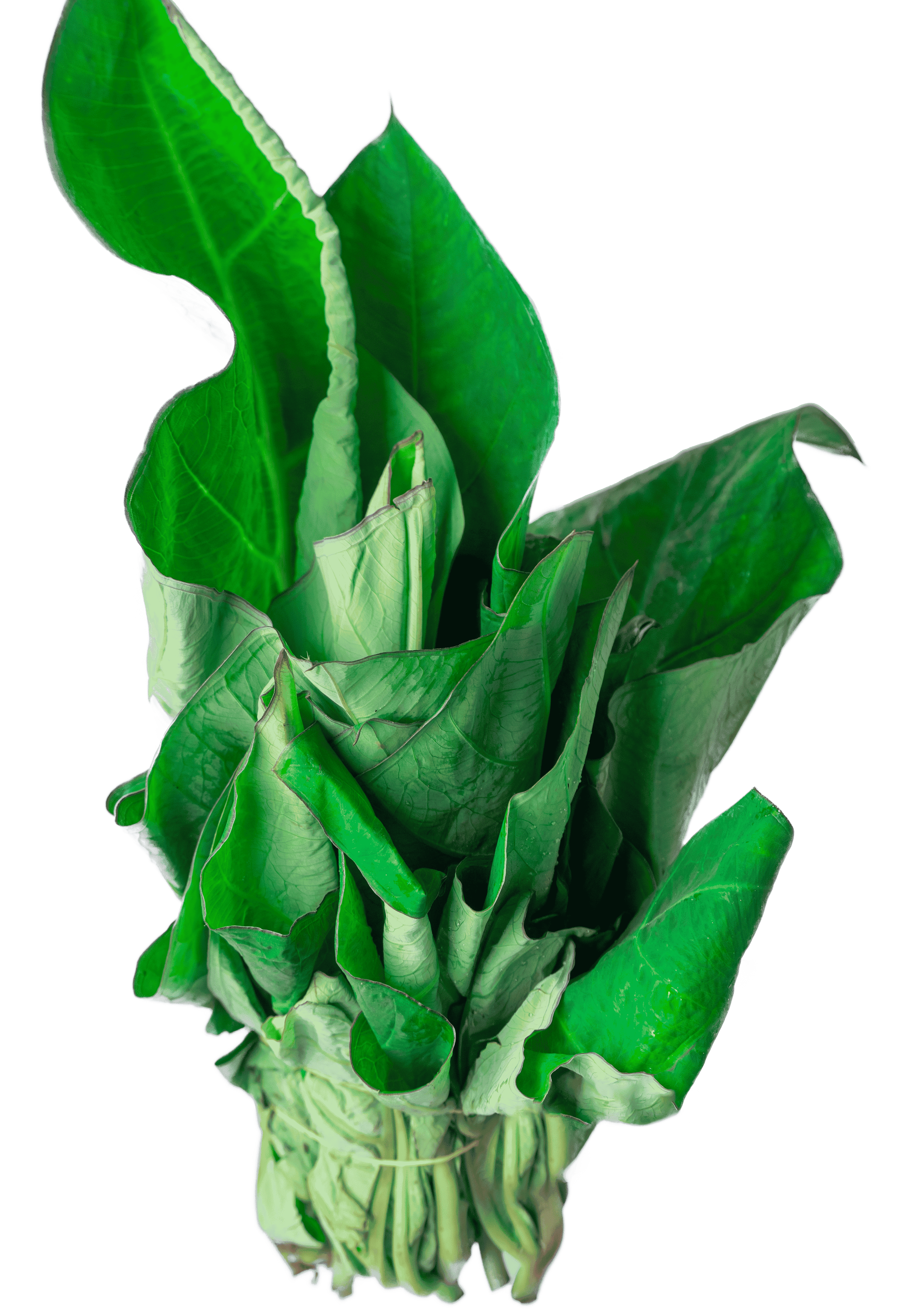 Kontomire (Cocoyam Leaves)