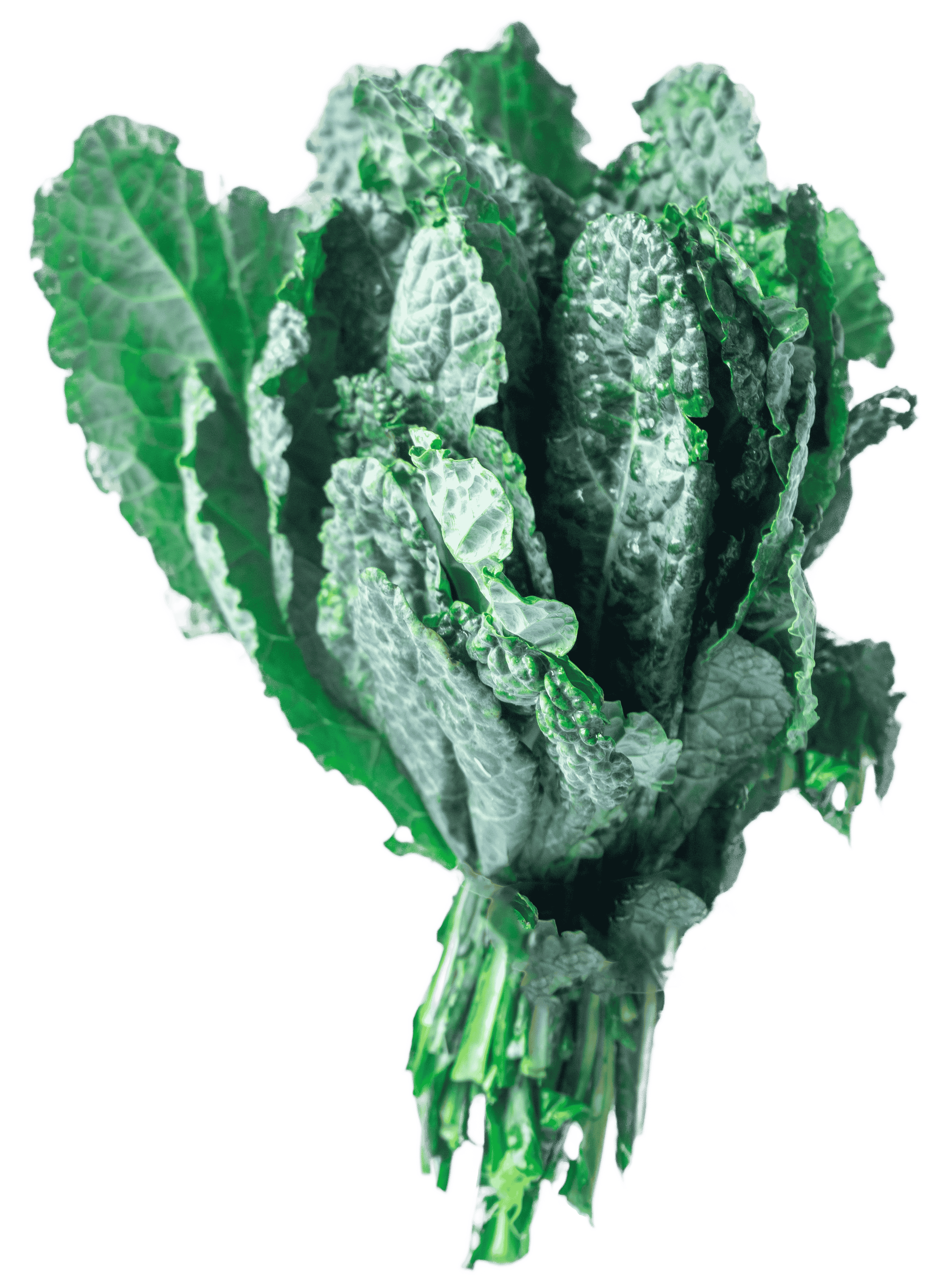 Kale Lacianto