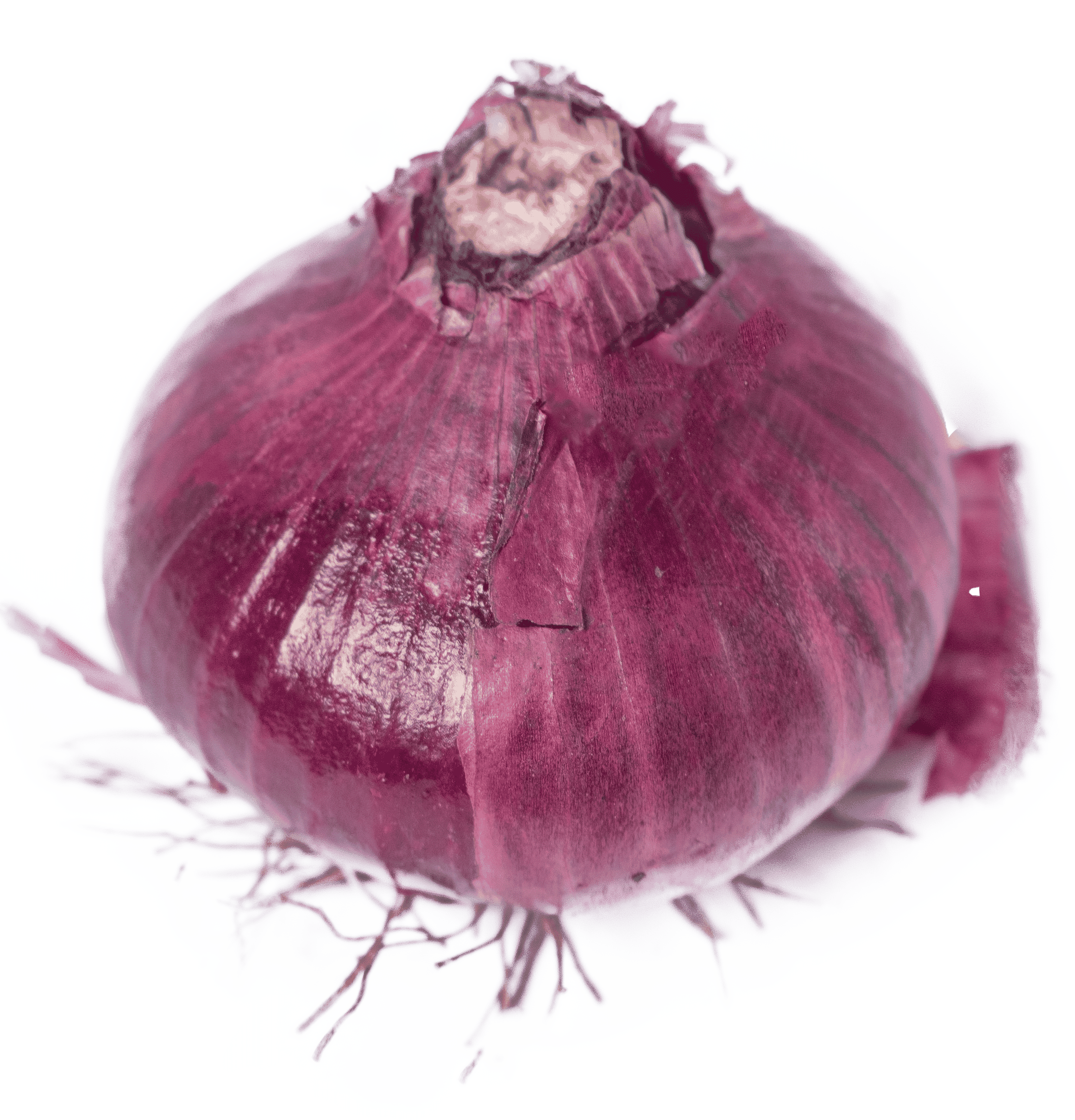 Onion Red
